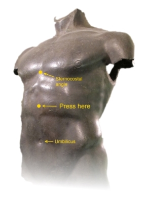 Acupuncture Point, Ren 12, treats bloating. Torso di Livorno