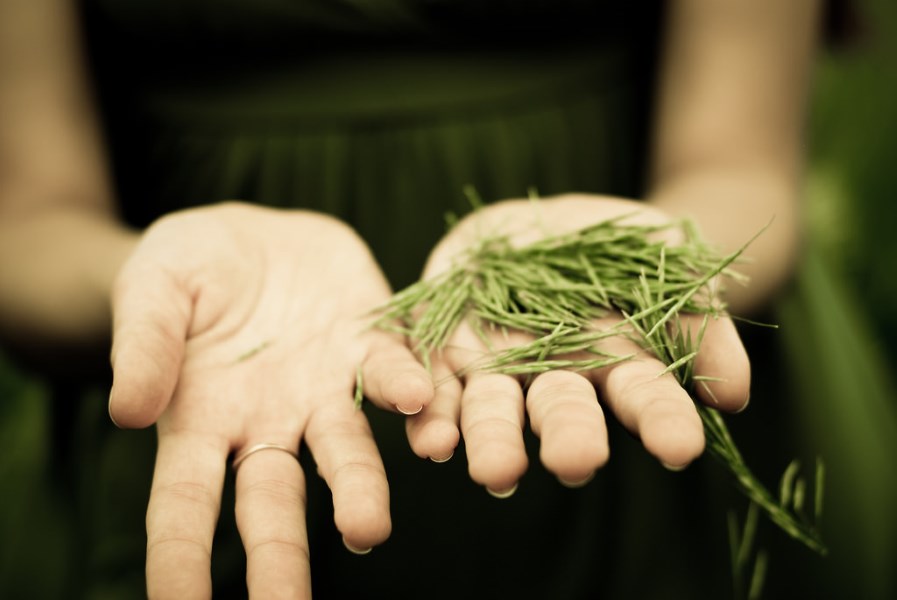 Acupuncture is a cost-effective investment in your health and well-being. A woman holds pieces of nature in her hands.