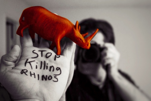 Plant-based Chinese herbs can be substituted for rhino horn. Save the Rhinos