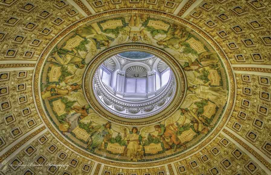 Find research on acupuncture and Chinese medicine here. Reading Room Dome
