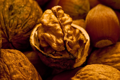 Walnuts are good for the brain. chinese medicine stroke